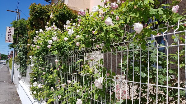 Exterior detail - Lourdes Independent character apartment ground floor near downtown (Lourdes)