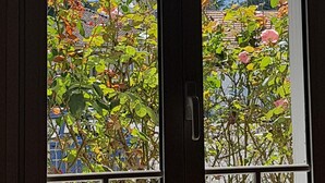 Puerta que ofrece vistas a un jardín con diversas plantas y flores.