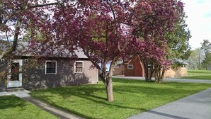 Un barrio residencial con una casa que tiene un pequeño jardín delantero y un árbol con flores rosadas.