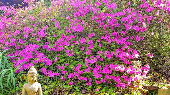Stunning Buddha statue stands amidst vibrant flowers in a serene garden setting.
