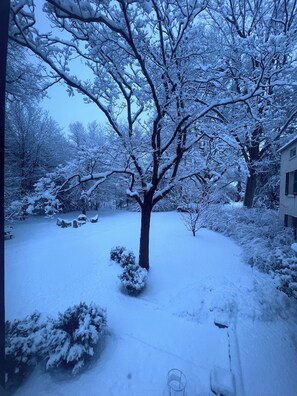 Property grounds - Historic Cottage in West Chester PA - Two miles from town. (West Chester)