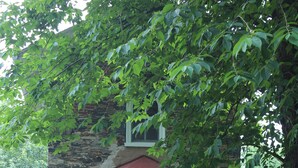 Ein Steinkamin, umgeben von Holz-Adirondack-Stühlen in einem Garten, mit einem Steinhaus im Hintergrund.