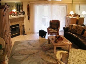 Smart TV, caminetto, lettore DVD, libri