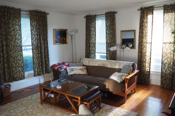 Älytelevisio, takka, kirjoja, musiikkikirjasto