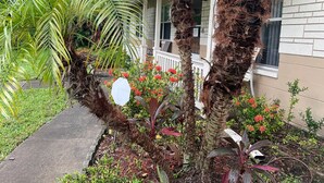 A house with a porch, surrounded by various plants and flowers.