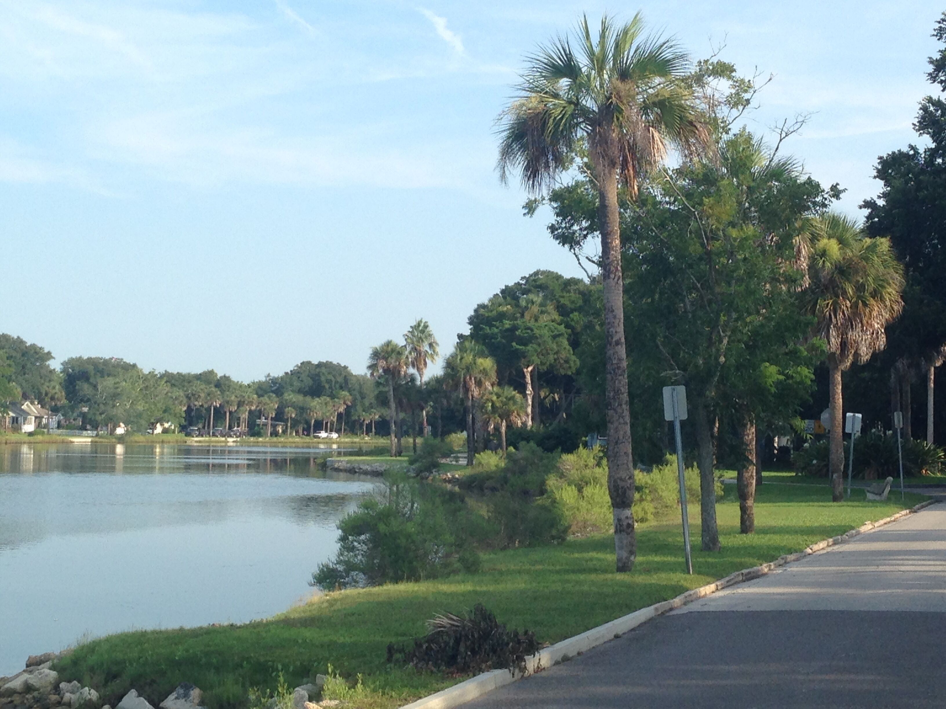 Un parc au bord du lac, doté d’une promenade dallée, de palmiers et d’une étendue d’eau paisible.