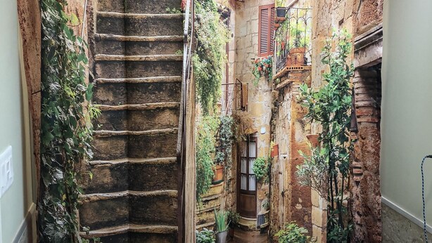 A narrow stone staircase leading to a door, flanked by walls with climbing plants and potted plants. - 1st Class Rentals Munson Manor VI at Chestnut 2nd Floor (Oneonta)