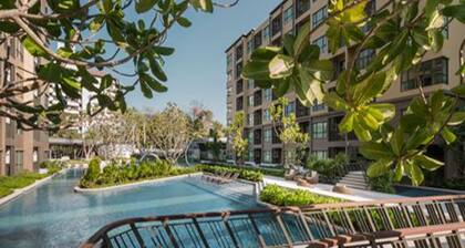 Rain by Lazy Sea Beach House