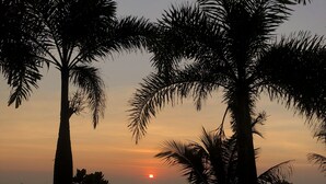 Ein Sonnenuntergang mit im Himmel abgetretenen Palmen.