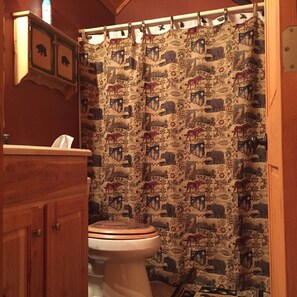 Combined shower/tub, hair dryer, towels, soap