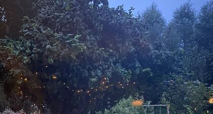 appartement lumineux dans un endroit isolé avec vue sur la nature, les animaux domestiques