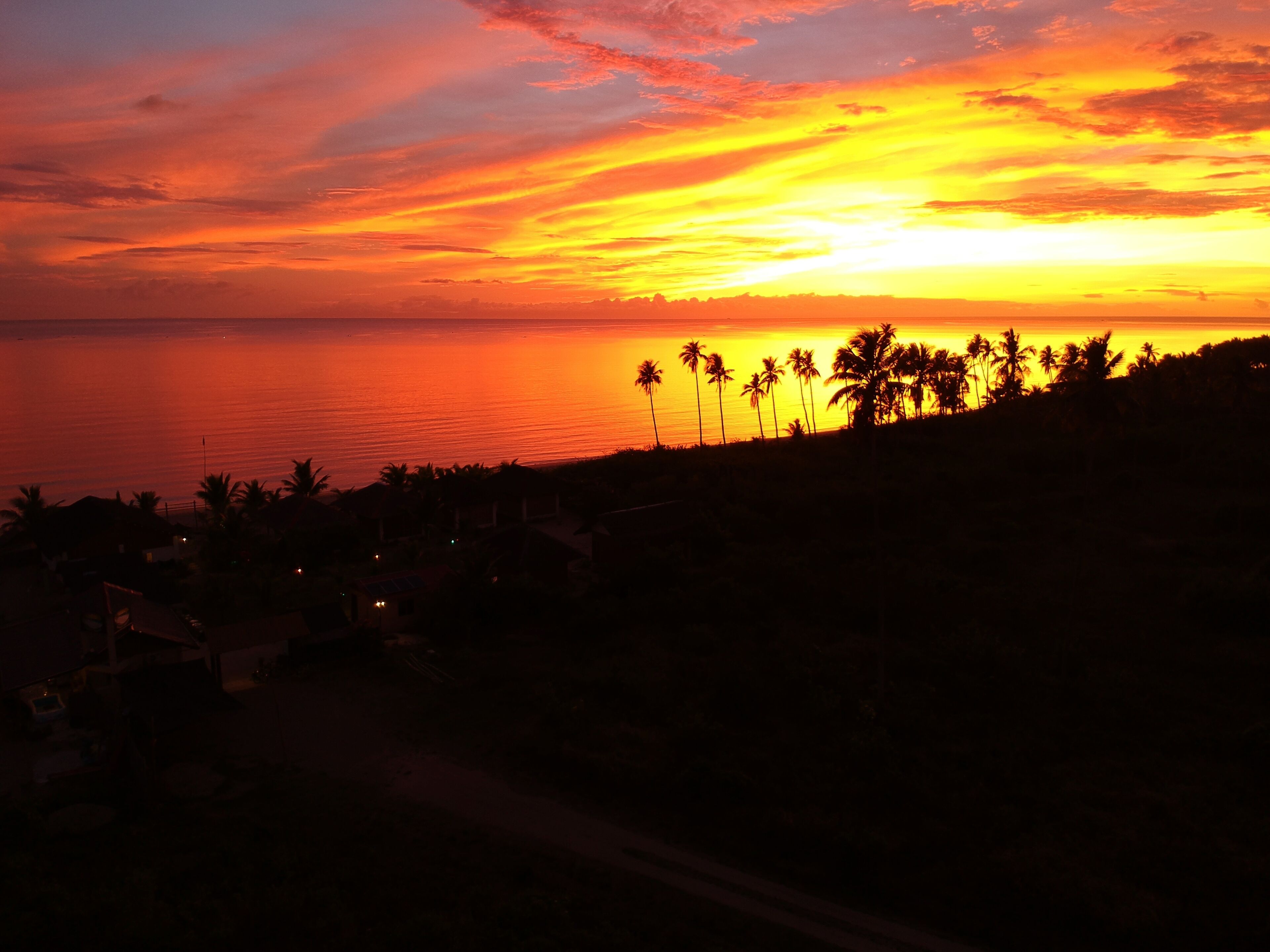 Atardecer sobre una zona costera con palmeras y edificios silueteados contra el cielo.