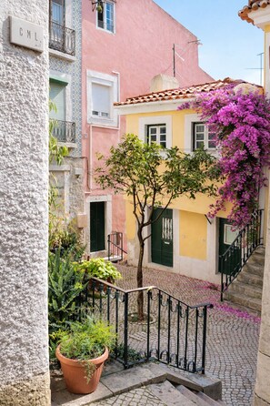 A narrow street with a pink building, a yellow building, and a tree with purple flowers. There is a staircase with a black railing.
