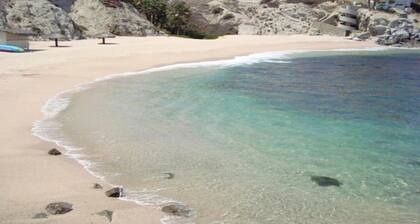Updated & Professionally Decorated- 5 Star LUXURY Ocean View Villa!