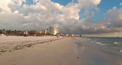 Modern Condo Minutes From Clearwater Beach