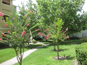 Un jardin bien entretenu, agrémenté d’arbres en fleurs et doté d’un chemin dégagé menant à un bâtiment.