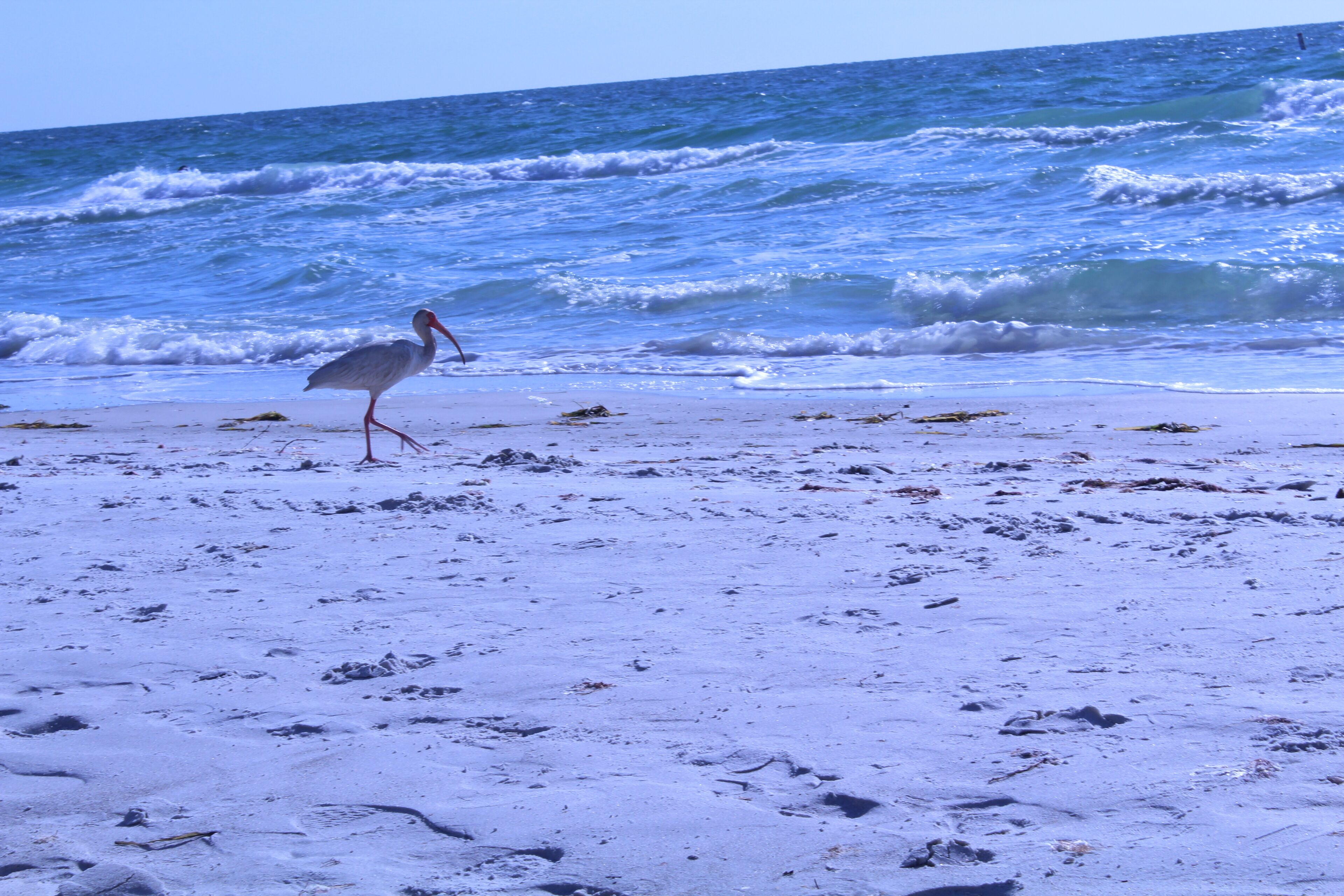 Beach nearby, sun-loungers, beach towels