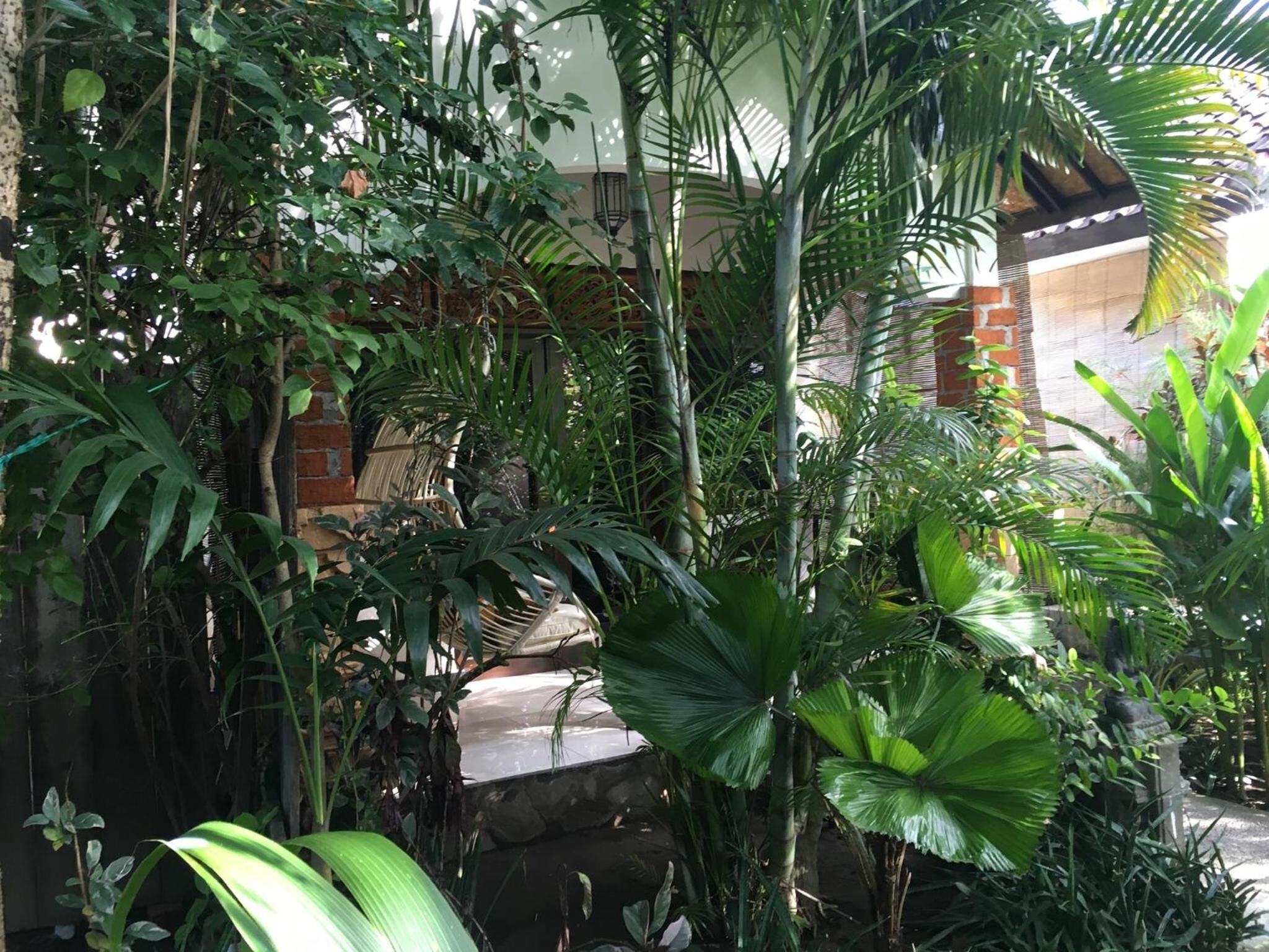 Un exuberante jardín interior con diversas plantas tropicales y un muro de piedra.