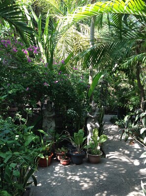 Garden - Gili Nyepi (Gili Trawangan)