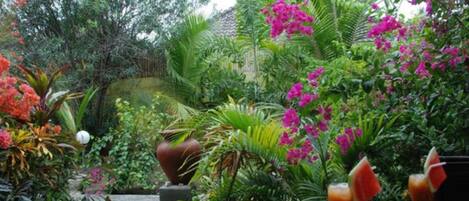 Petit déjeuner continental servi tous les jours en supplément