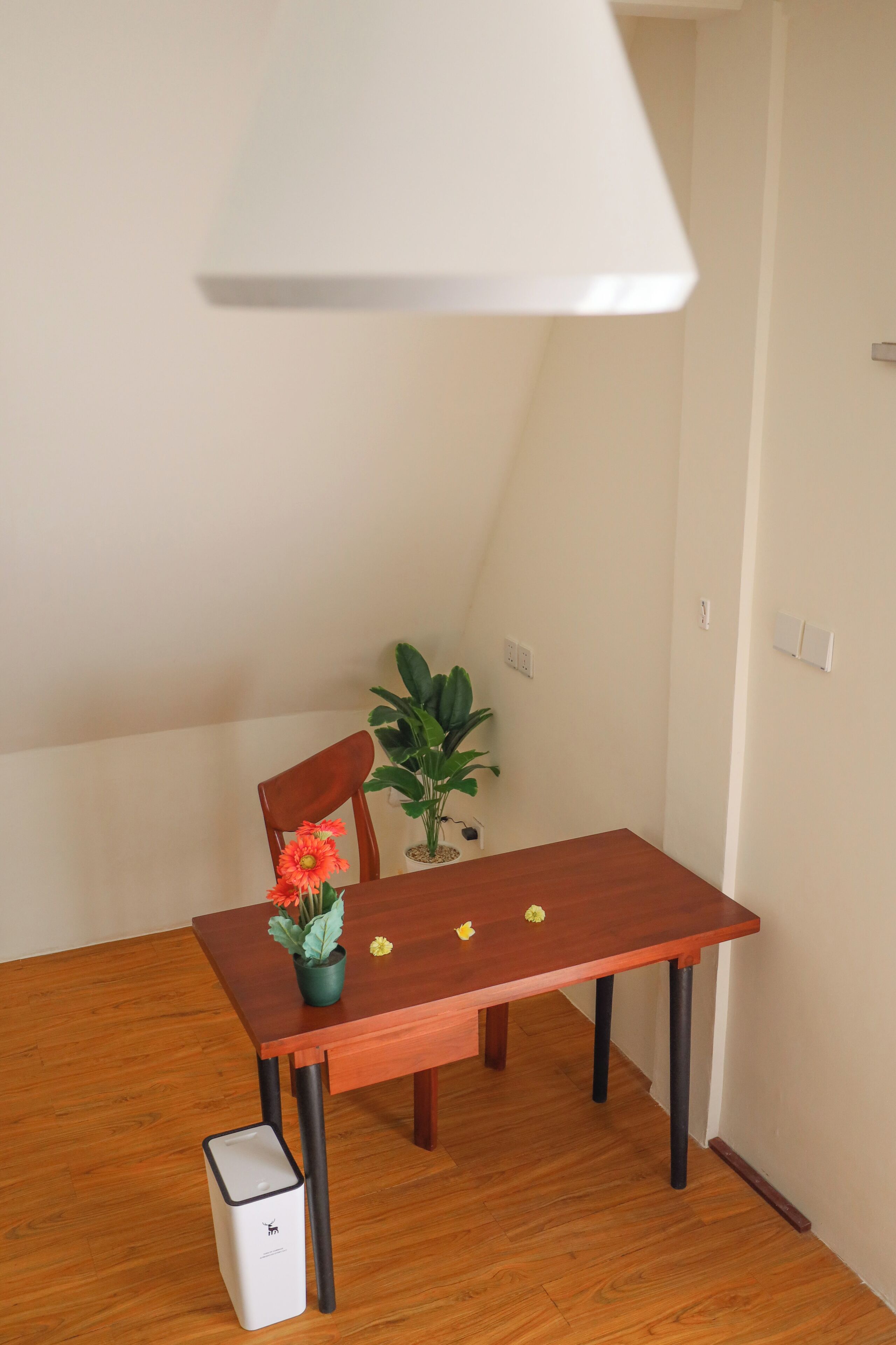 A dining table with a potted plant and flowers, a chair, and a trash bin.