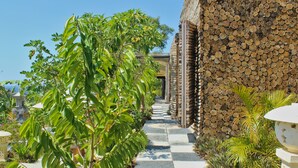 Un sendero bordeado de follaje verde y una pared de leña apilada.