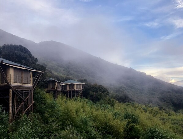 Exterior - Vinetree Gaoligong Tented Resort (Baoshan)