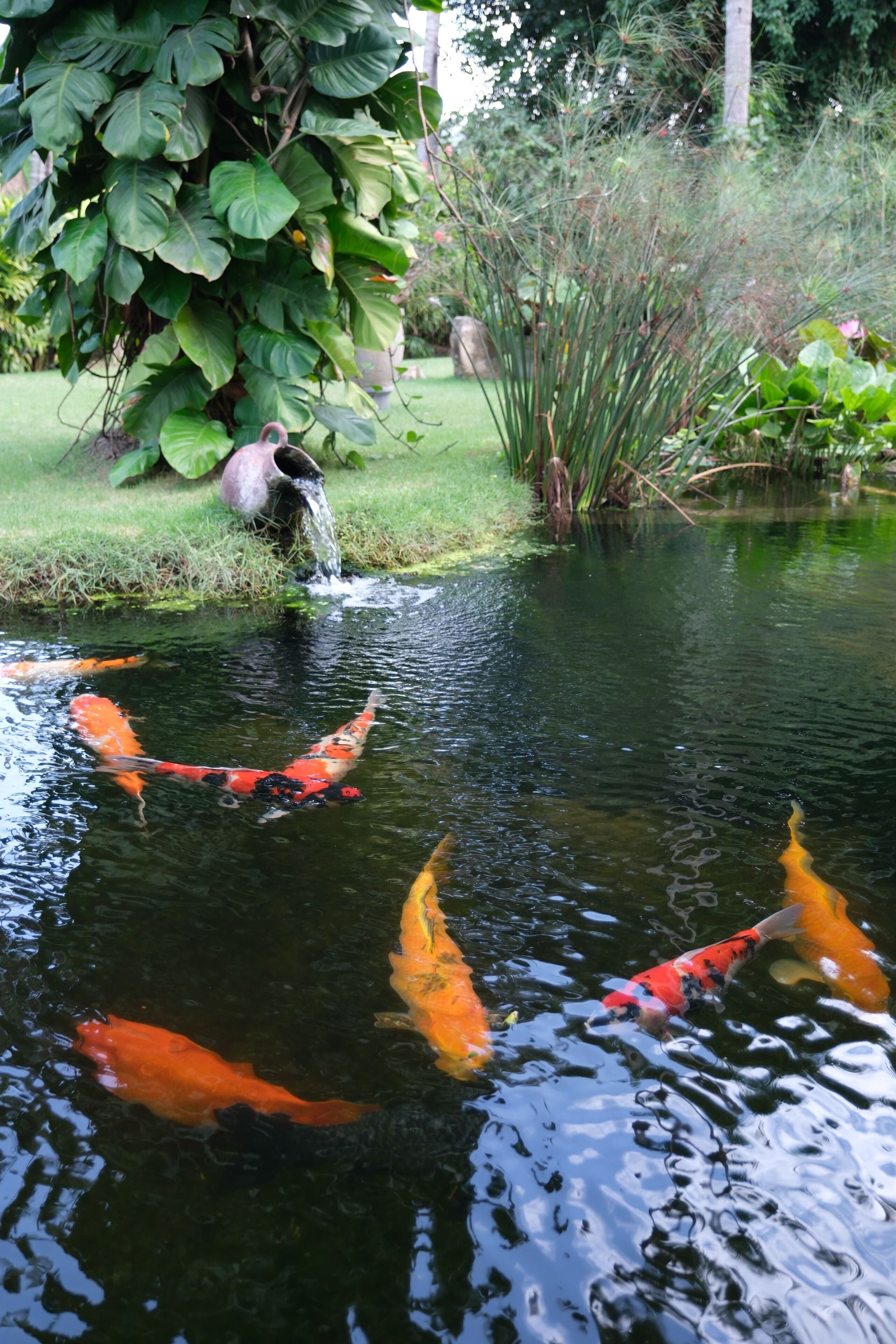 breakfast, lunch, dinner served; local and international cuisine