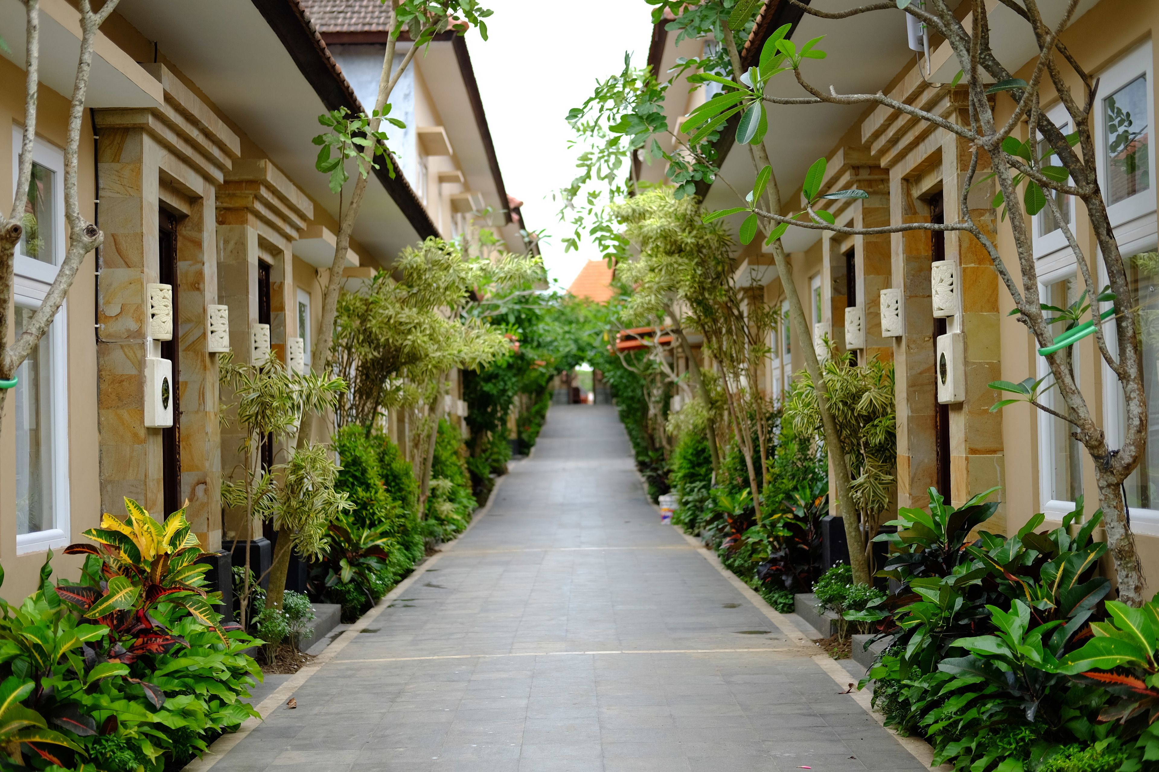 A narrow, tree-lined pathway between buildings with a tiled floor and outdoor electrical outlets.