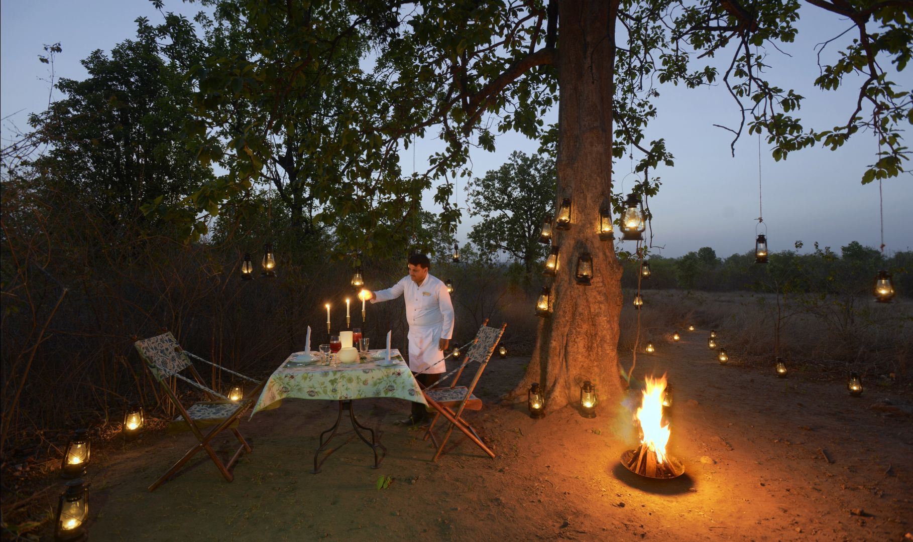 Un espace de restauration en plein air, avec une table et des chaises placées sous un arbre, entourées de lanternes et d’un feu de camp.