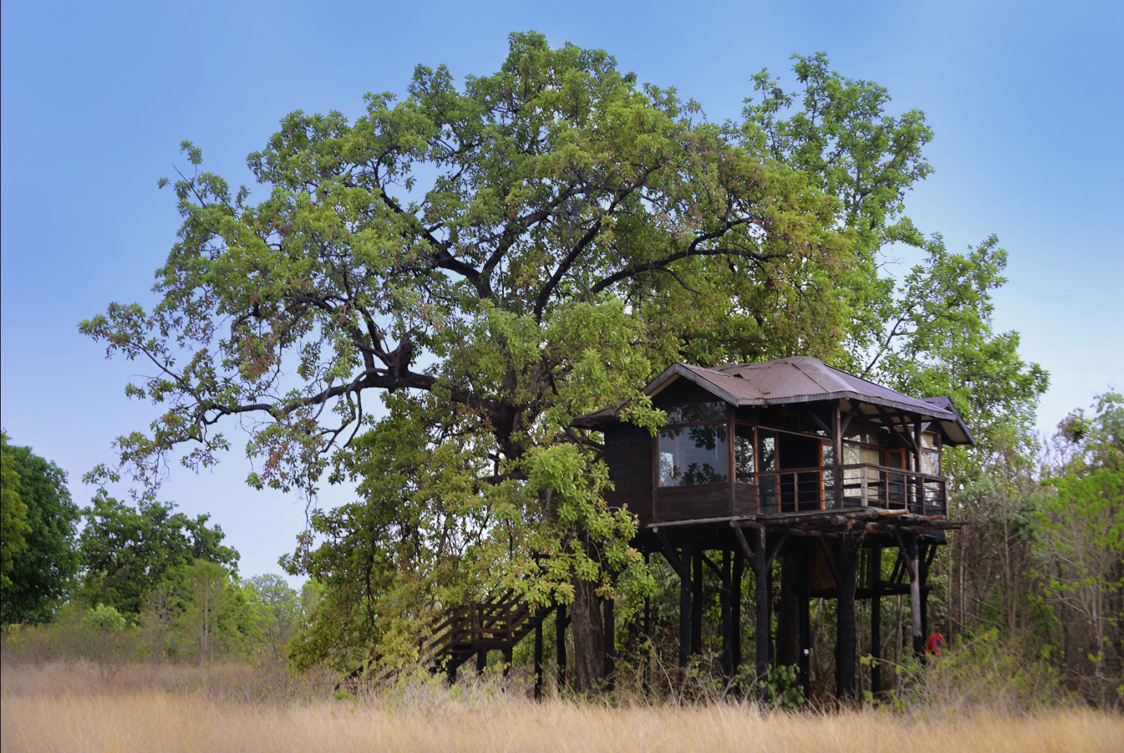 A treehouse built on a sturdy wooden platform, surrounded by lush green trees.