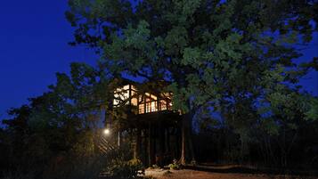 A treehouse with a wooden exterior and glass windows, surrounded by dense foliage.