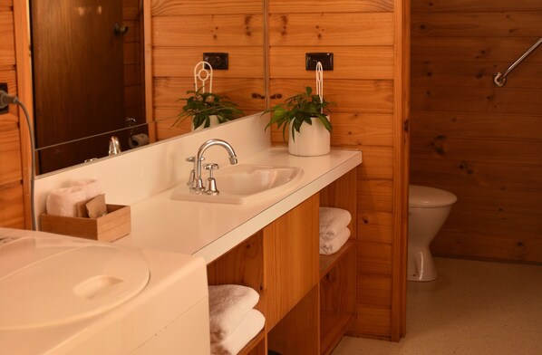 A modern bathroom with a wooden vanity, a sink, and a toilet. - Edge of the Bay (Coles Bay)