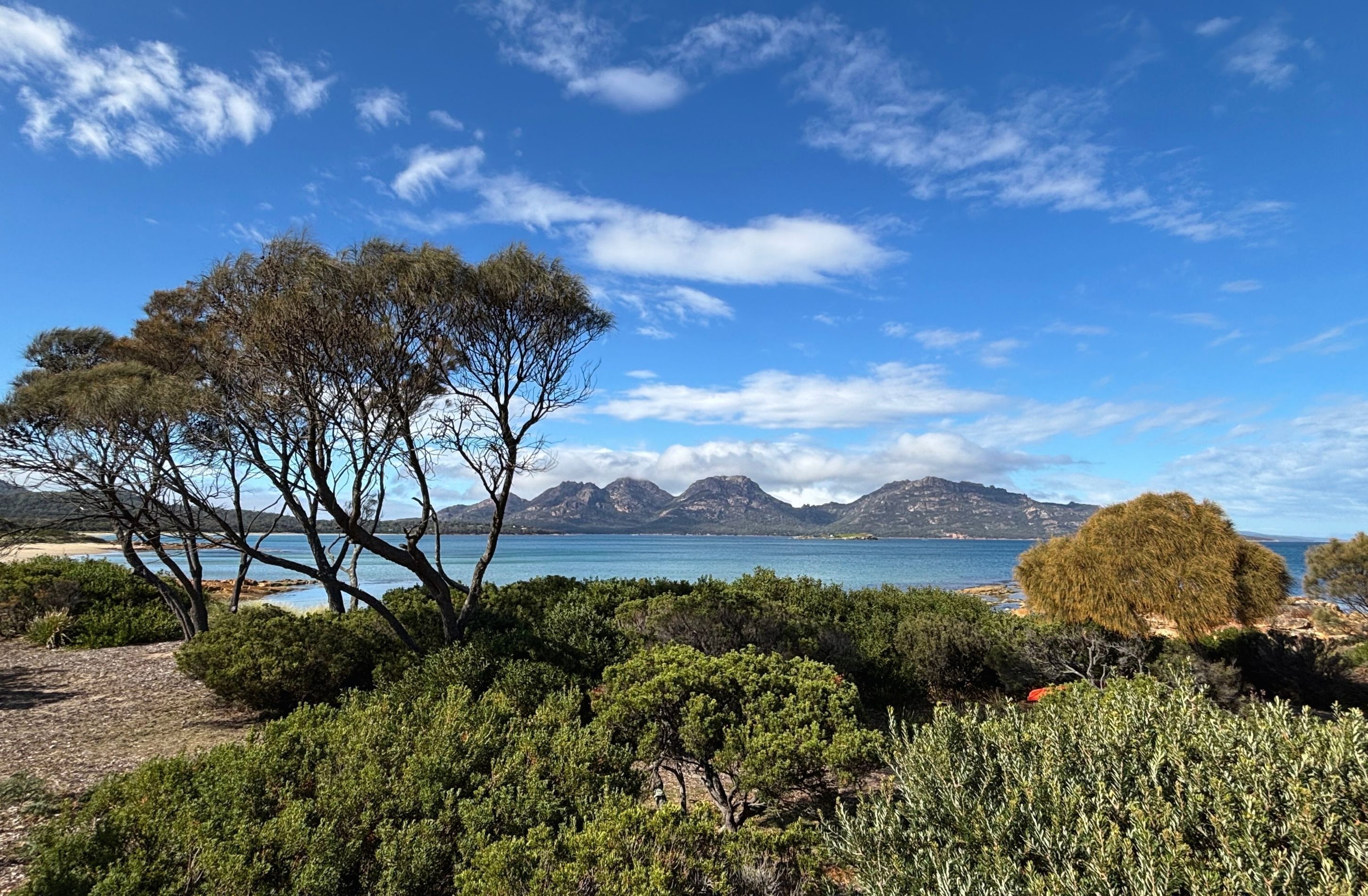 Ocean View Studio | Quang cảnh từ phòng