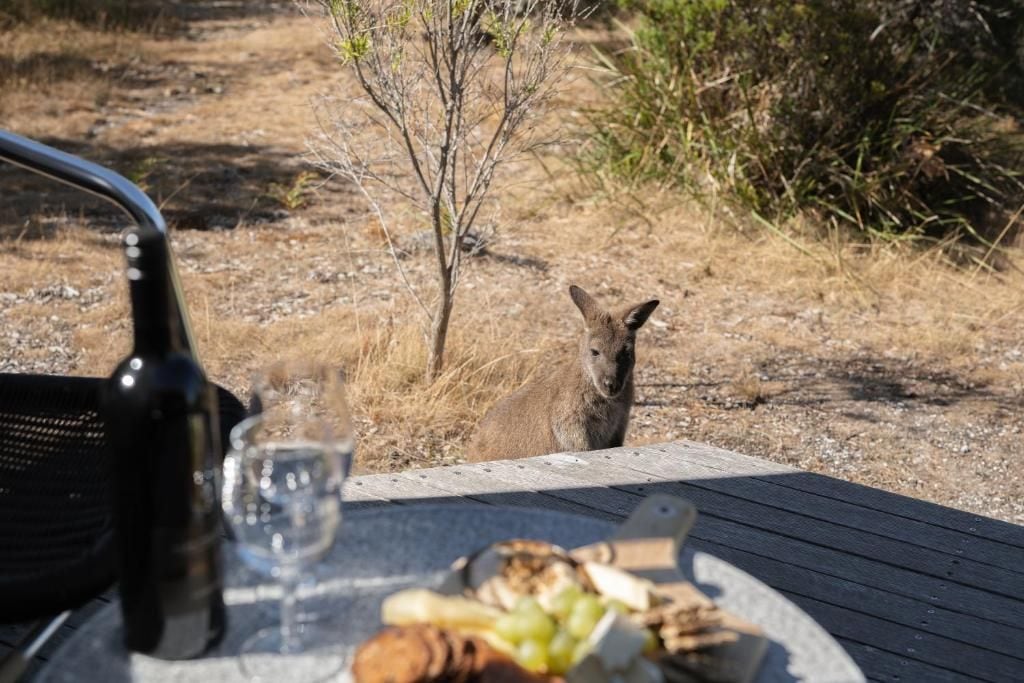 A table with food and a bottle, a chair, and a small tree in the background.