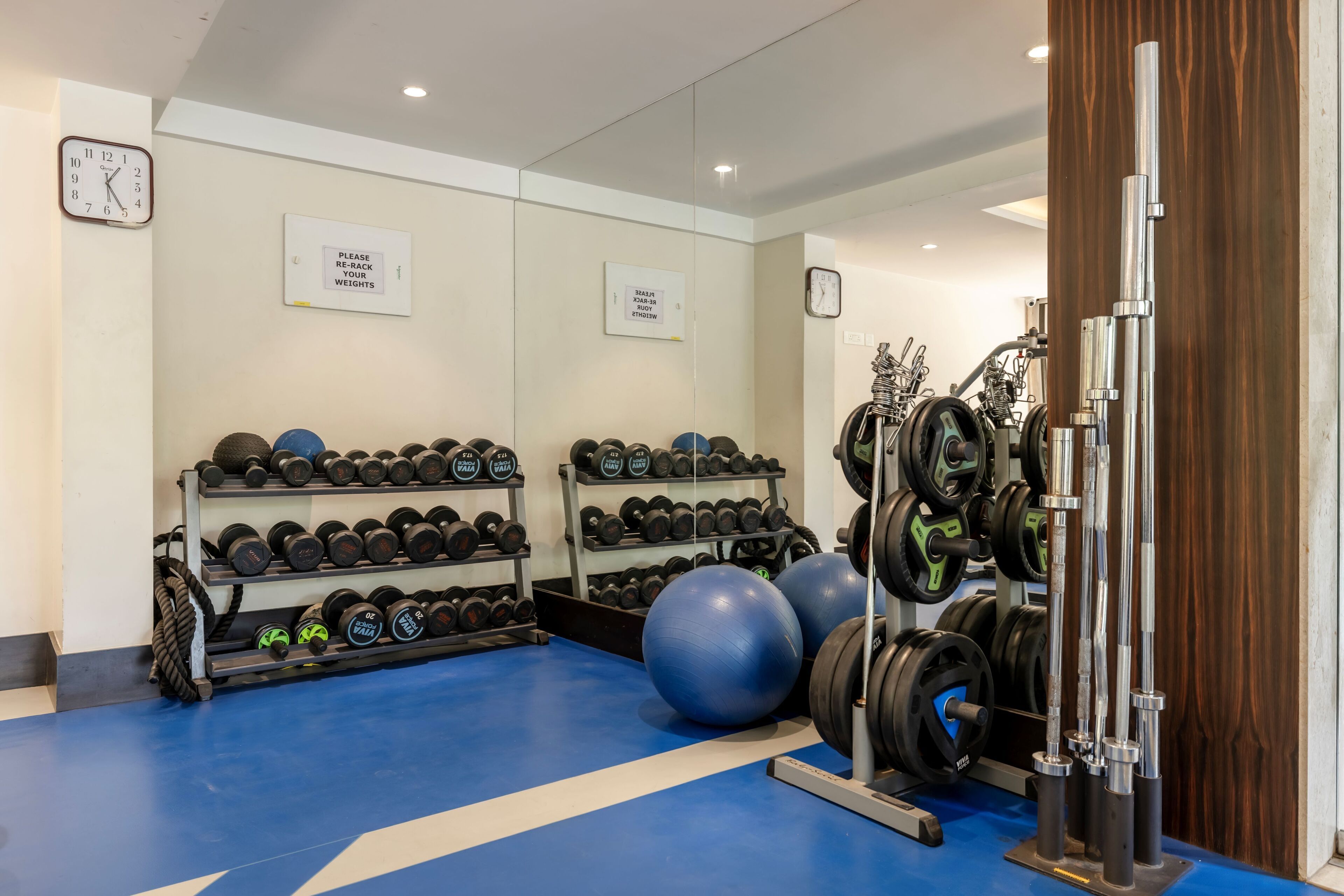 A gym with weight racks, exercise balls, and a squat rack.
