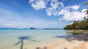 Une plage à l’eau turquoise et limpide, bordée d’un rivage sablonneux et de palmiers.
