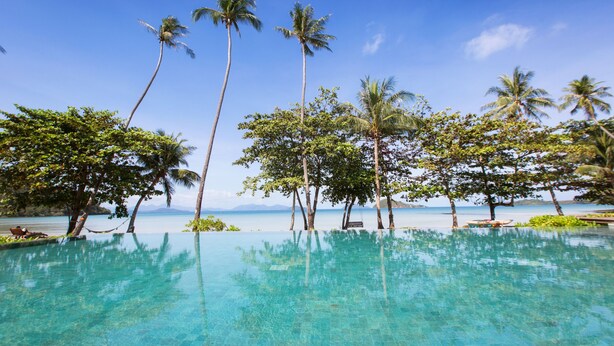 Une piscine d’eau cristalline, entourée de palmiers, avec une vue imprenable sur la mer.