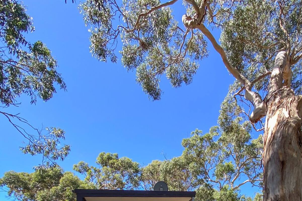 A modern, two-story cabin with a balcony, surrounded by trees and a clear sky.