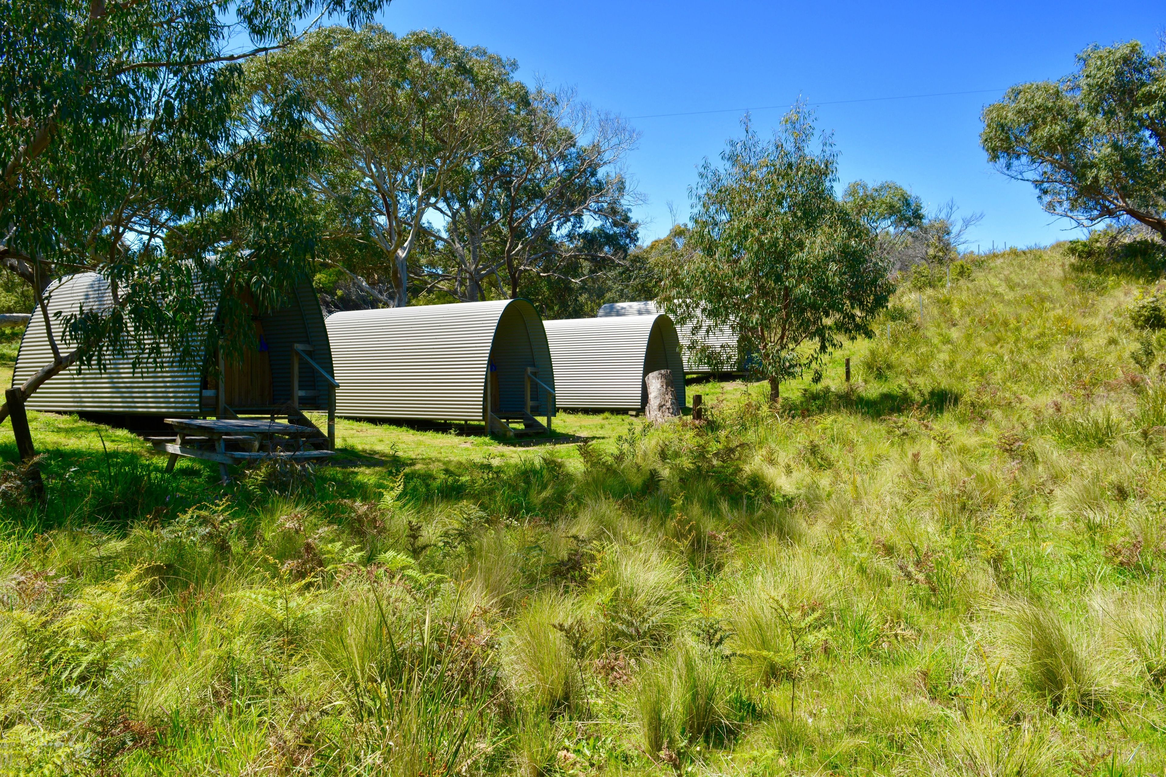 A campsite with two metal caravans, a picnic table, and surrounding grassy terrain.
