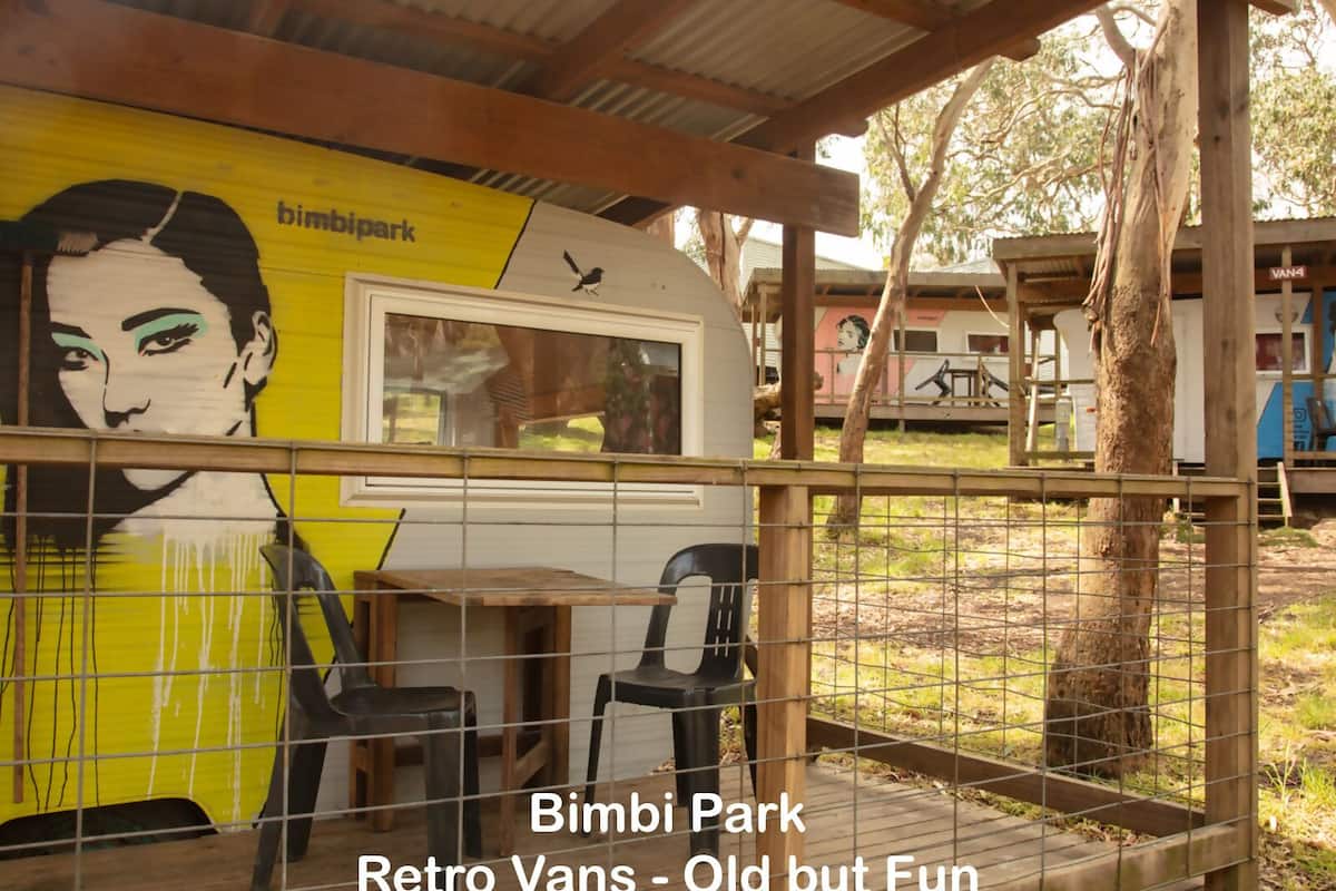 A vintage van with a mural of a woman, located at Bimbi Park.