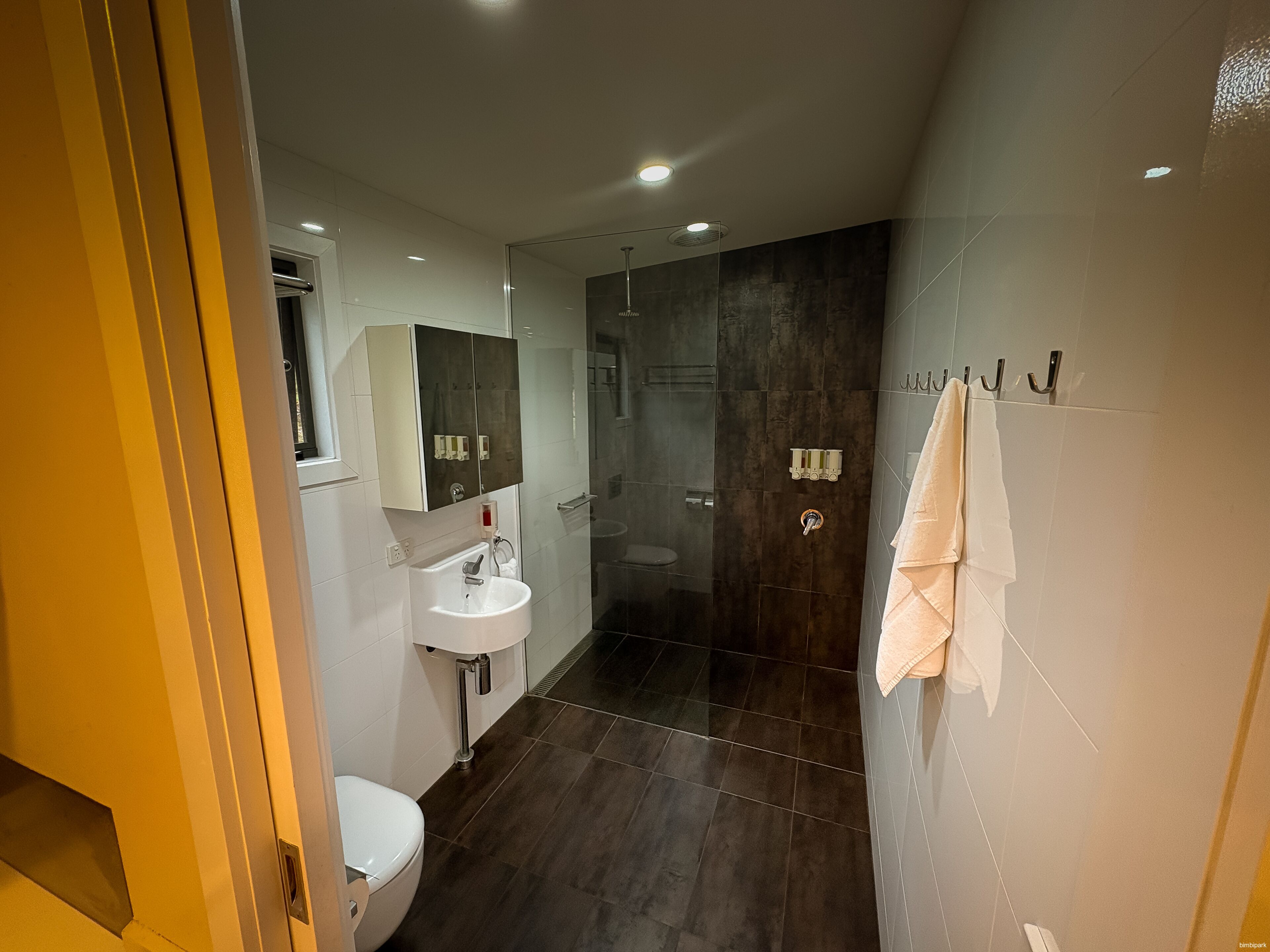 A modern bathroom with a glass shower enclosure, a white sink, and a toilet.