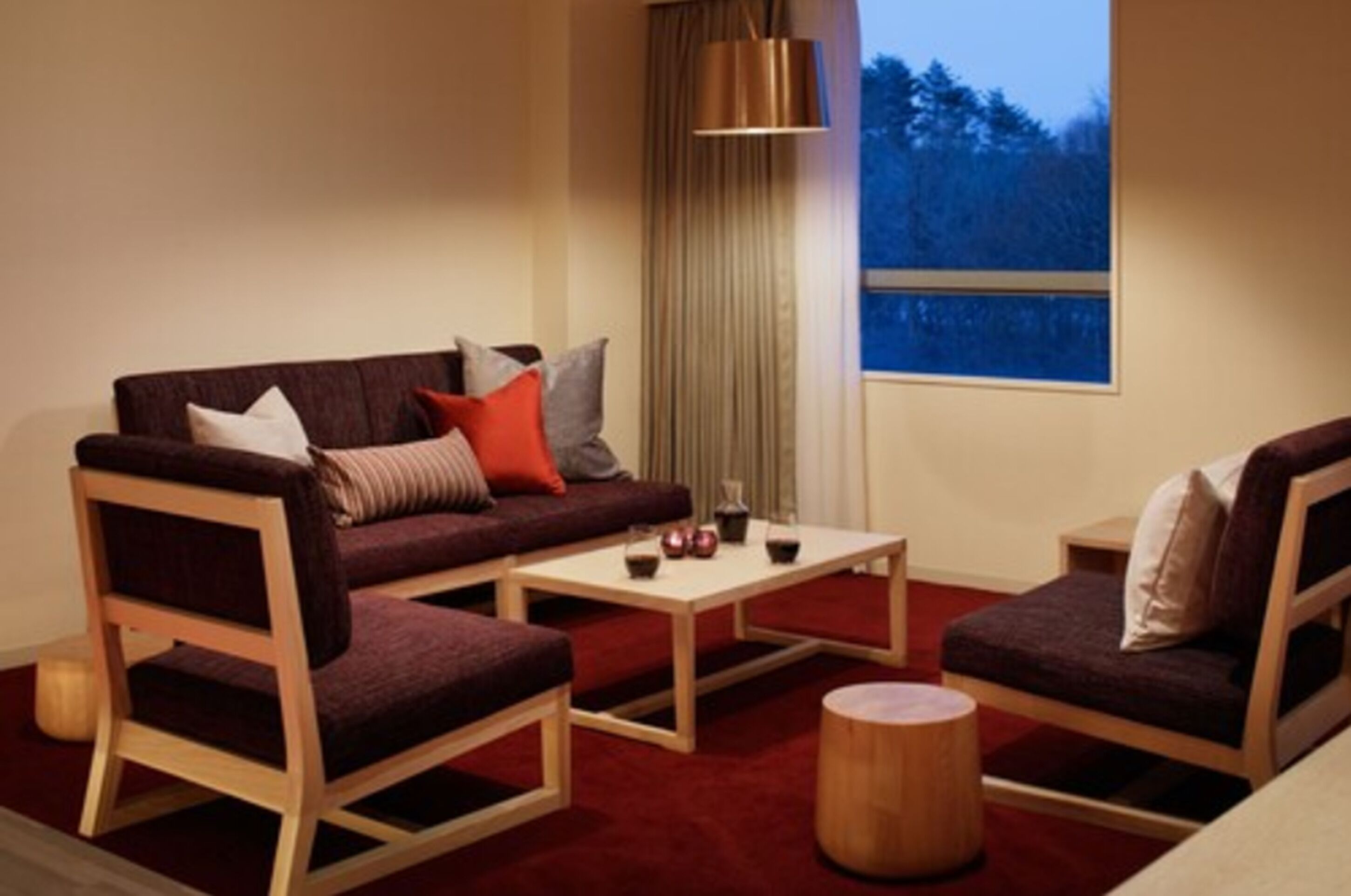 デラックス | セーフティボックス (室内)、遮光カーテン、防音設備、アイロン / アイロン台