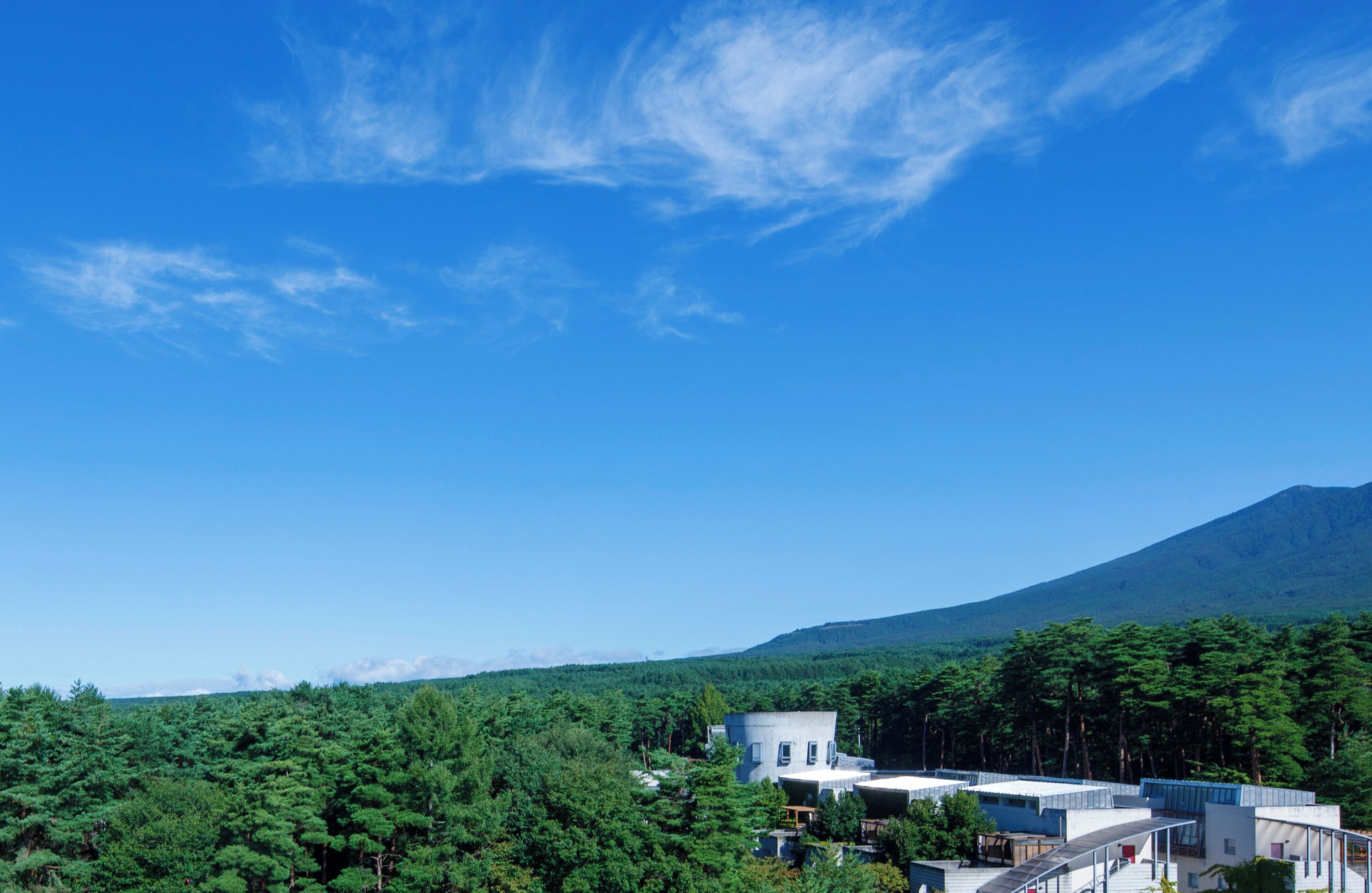 Un bâtiment moderne doté d’un toit plat, entouré d’une forêt verdoyante et dense, avec une montagne en arrière-plan.