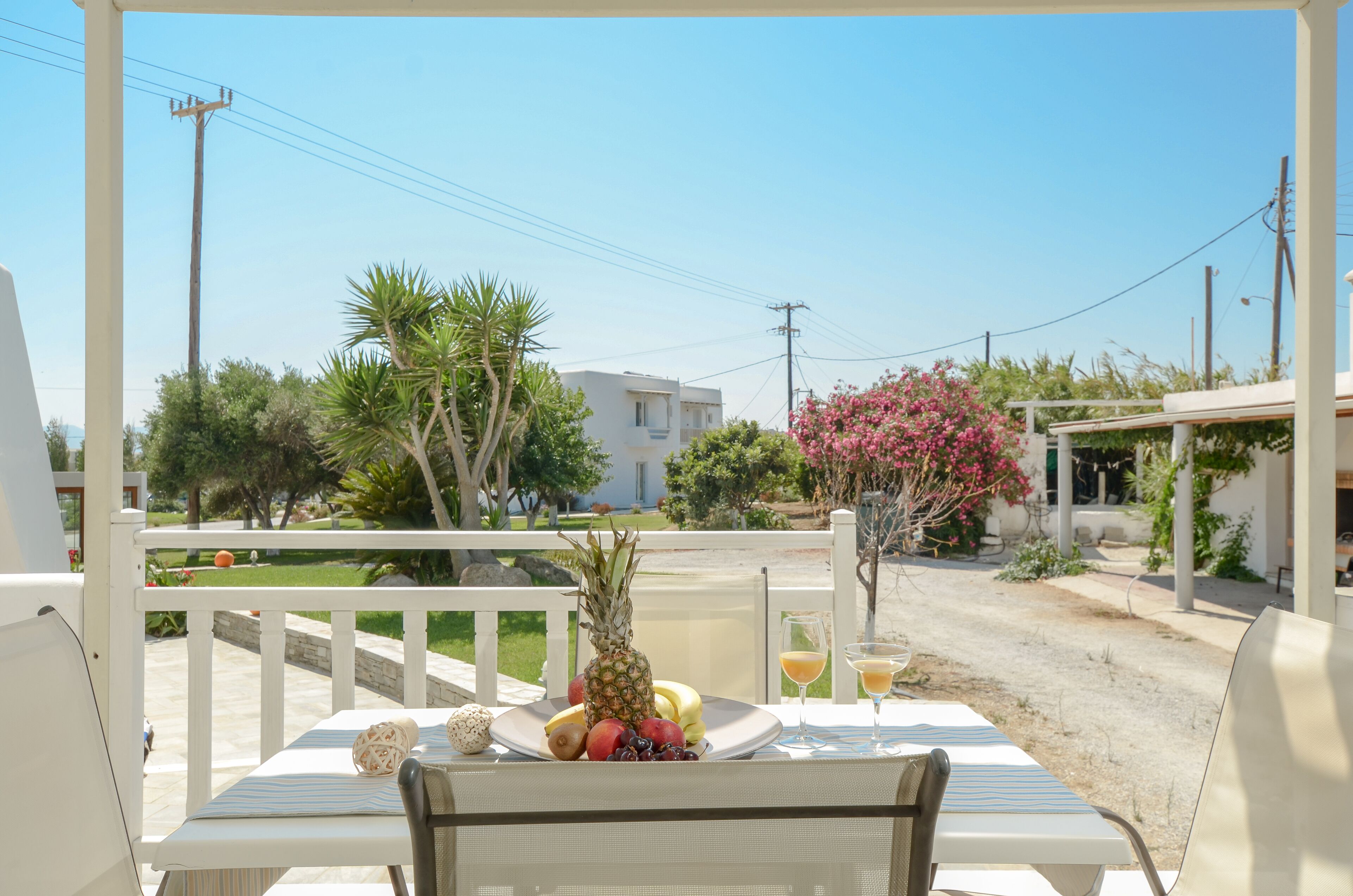 A table with a fruit platter and drinks on a patio with a view of a residential area and a pink flowering tree.