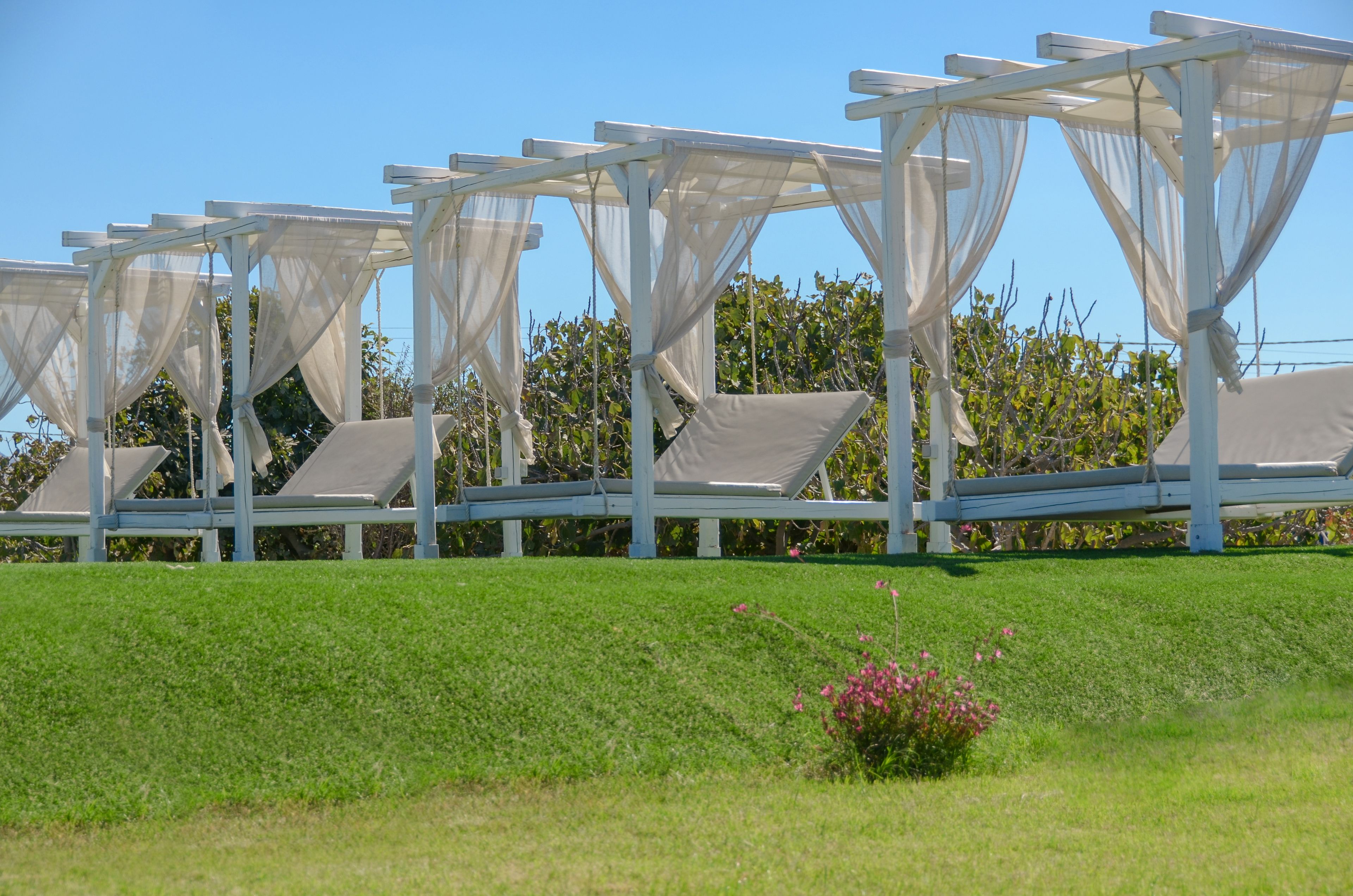 A row of white outdoor seating areas with sheer white canopies, set against a backdrop of green grass and a clear blue sky.