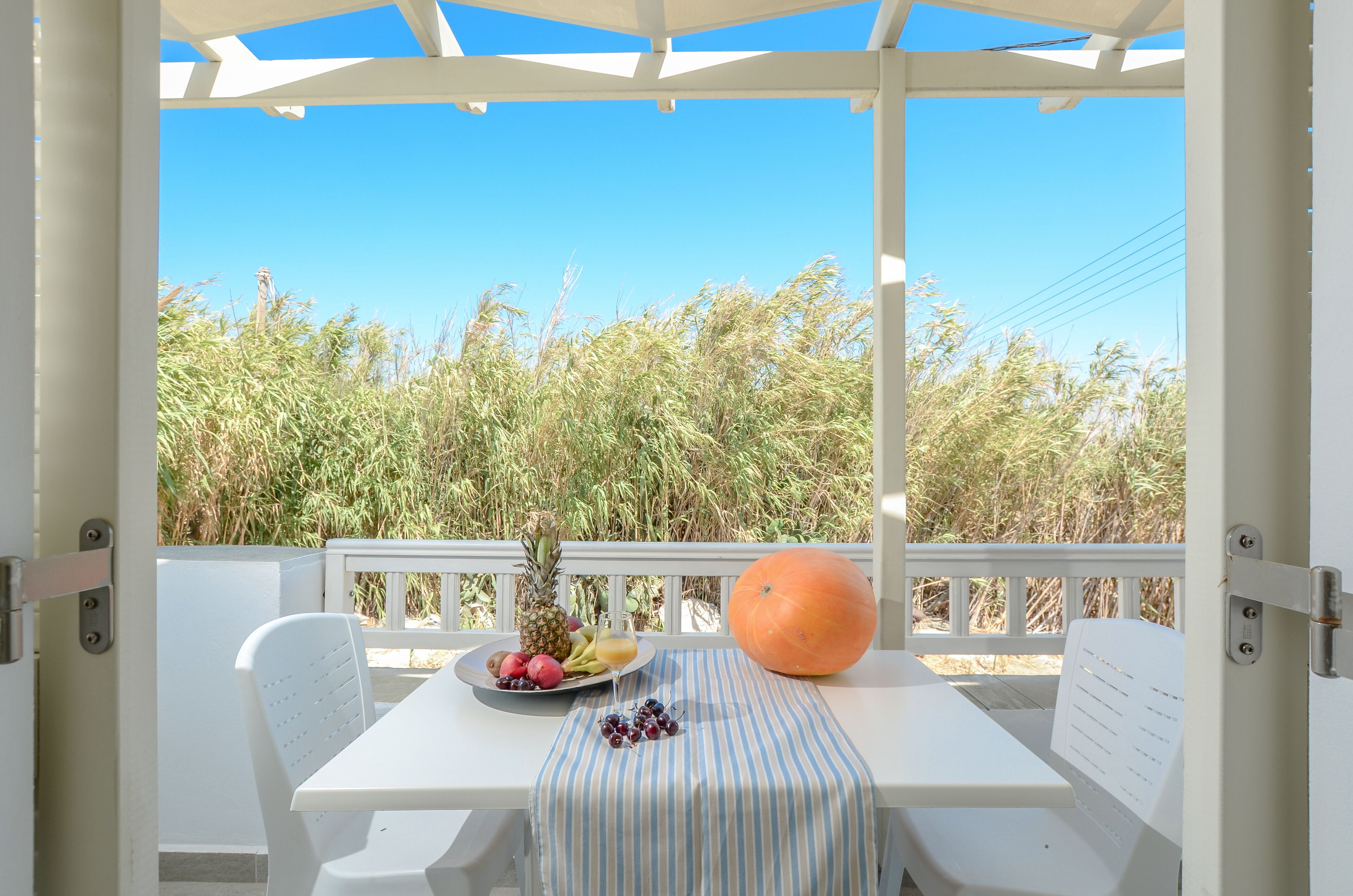 A balcony with a white table set with fruits and a pumpkin, overlooking a dense vegetation area.