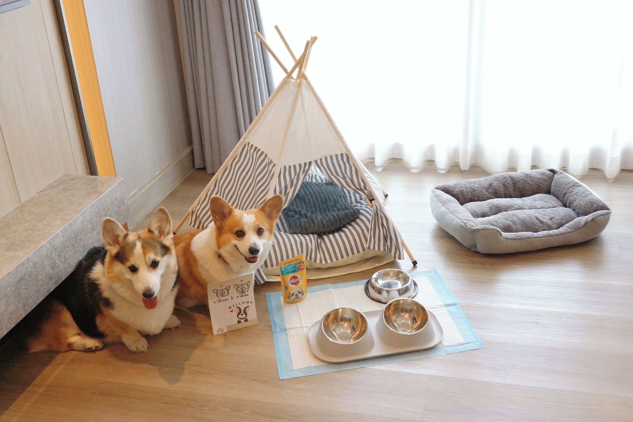 A dog bed, a pet bed, and a dog food bowl on a wooden floor.