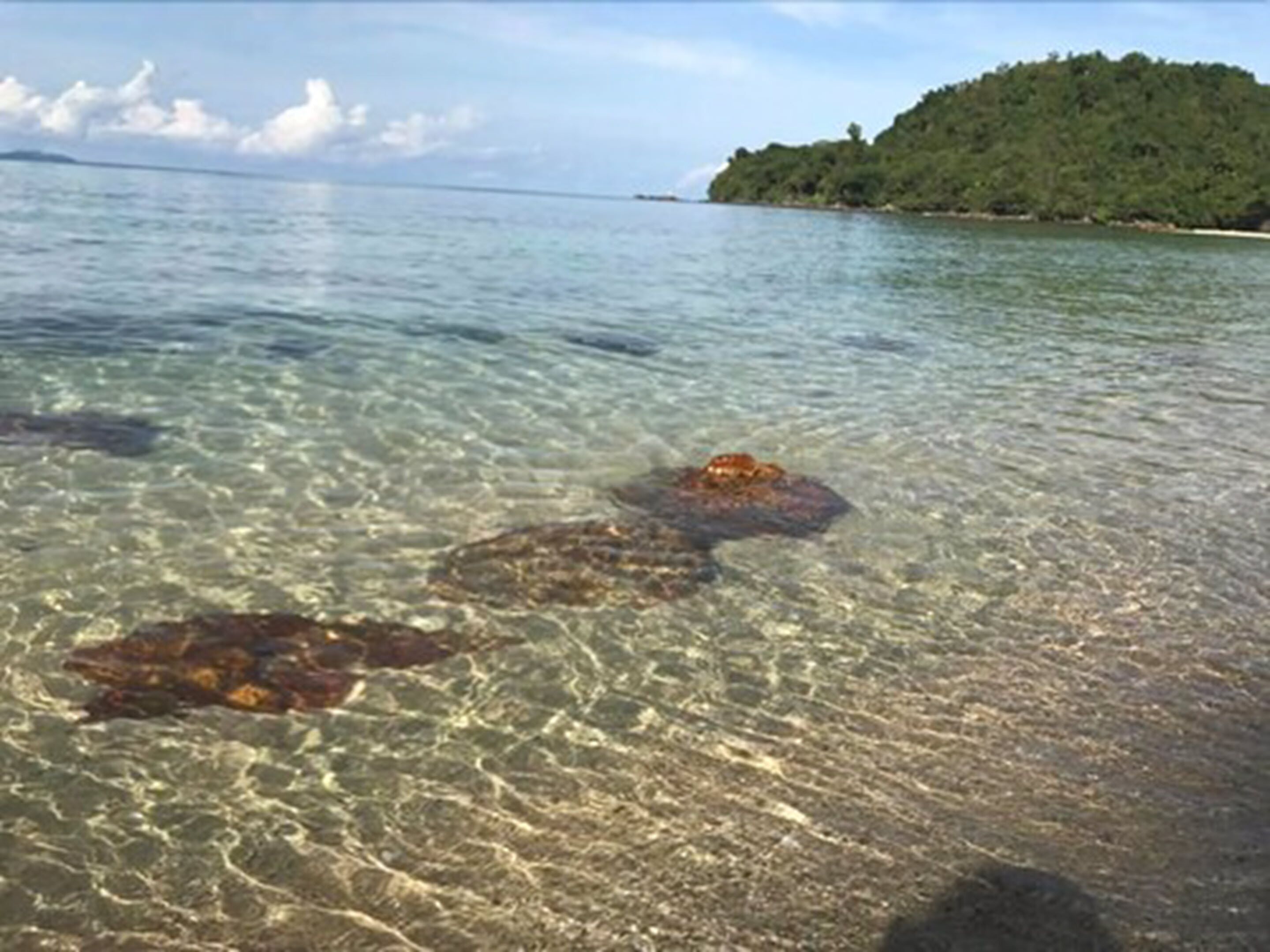 Foto - Koh Ngai Paradise Beach