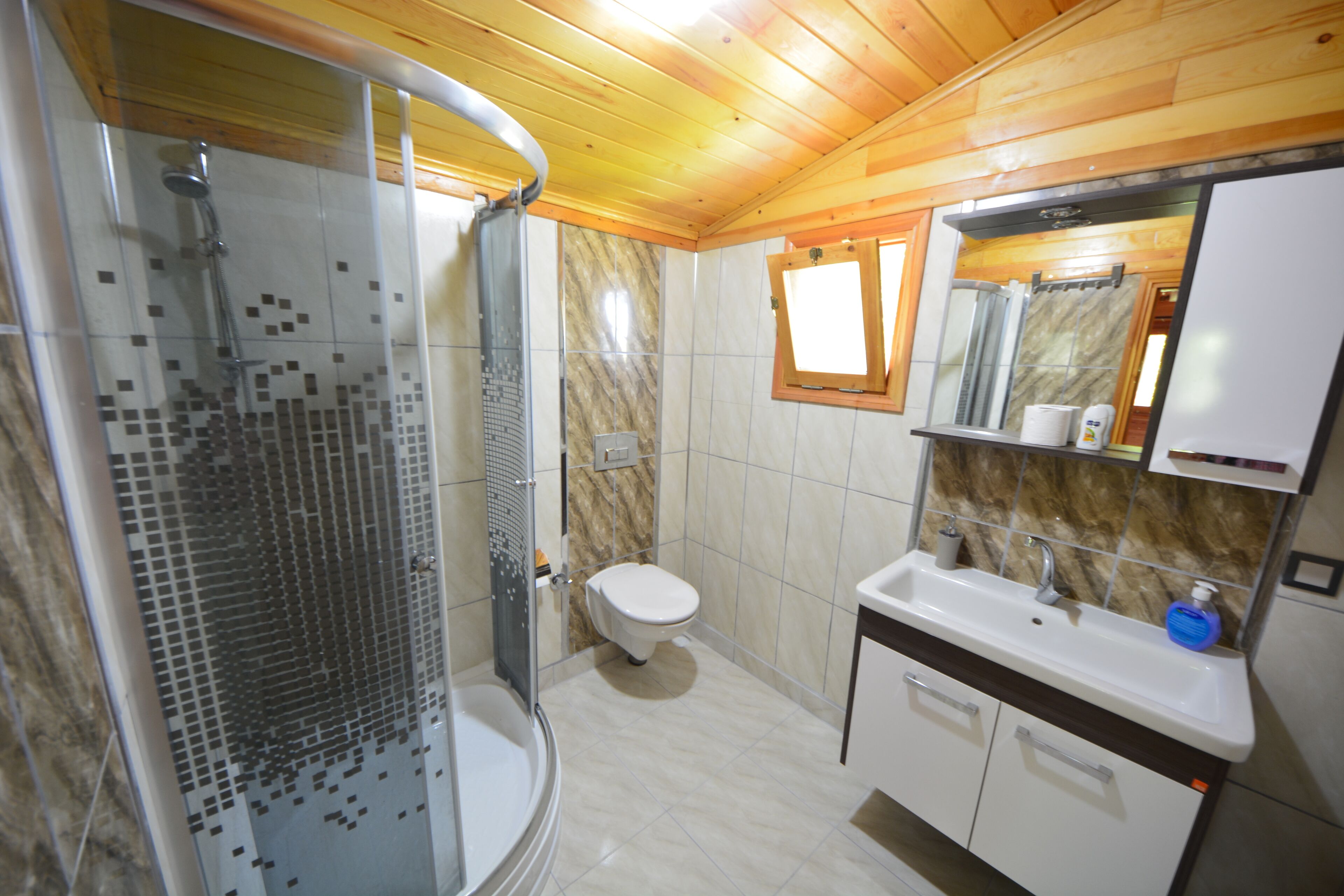 shower, free toiletries, hair dryer, slippers